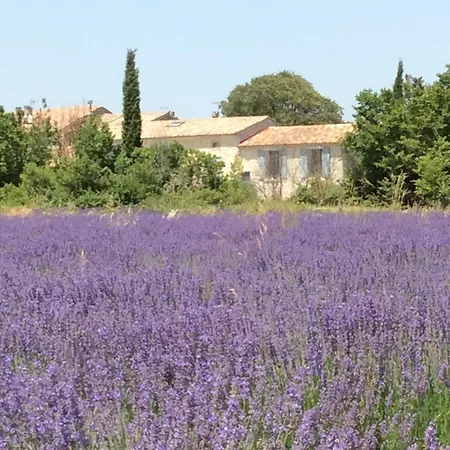 Holiday home Mas Du Grand Vallen *